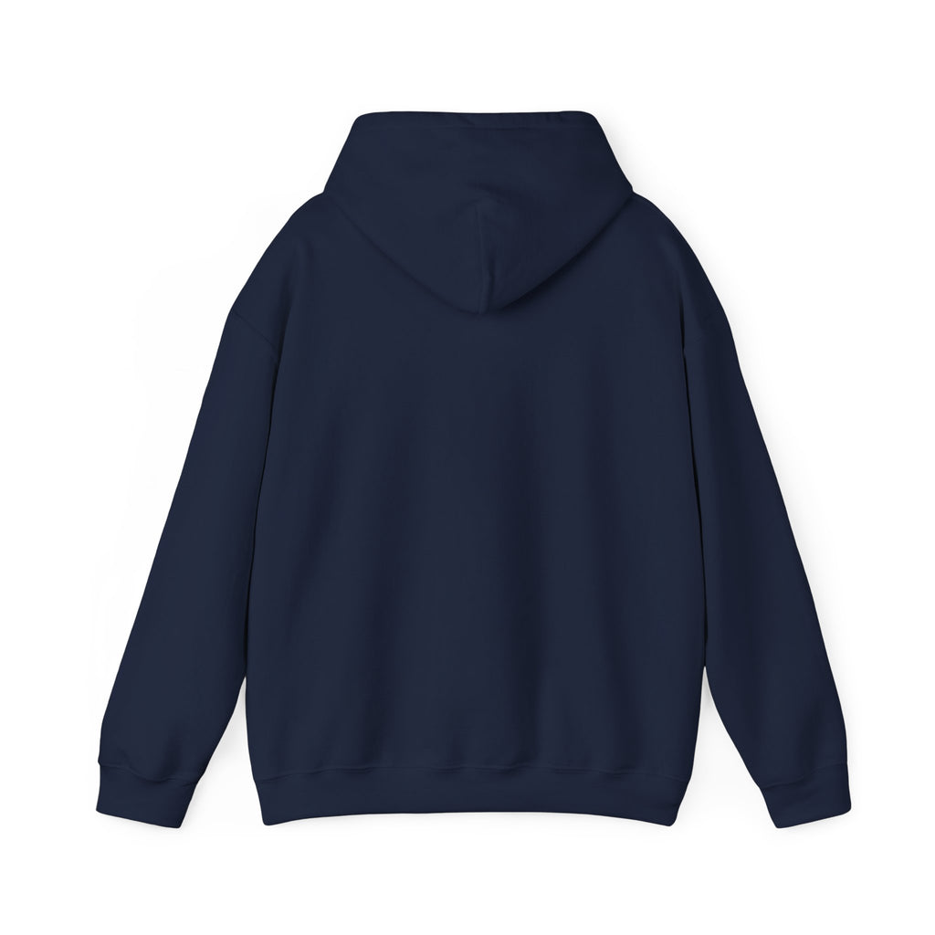 Why Not? hoodie | slogan & glitch graphic, meme phrase sweatshirt