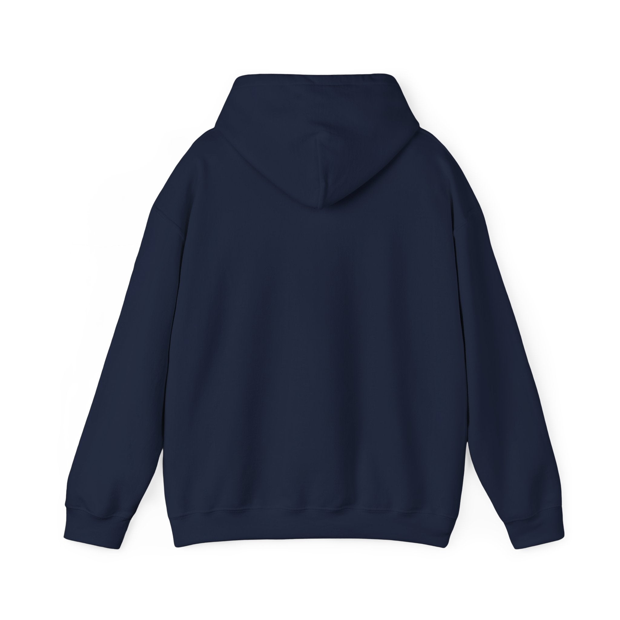 Why Not? hoodie | slogan & glitch graphic, meme phrase sweatshirt