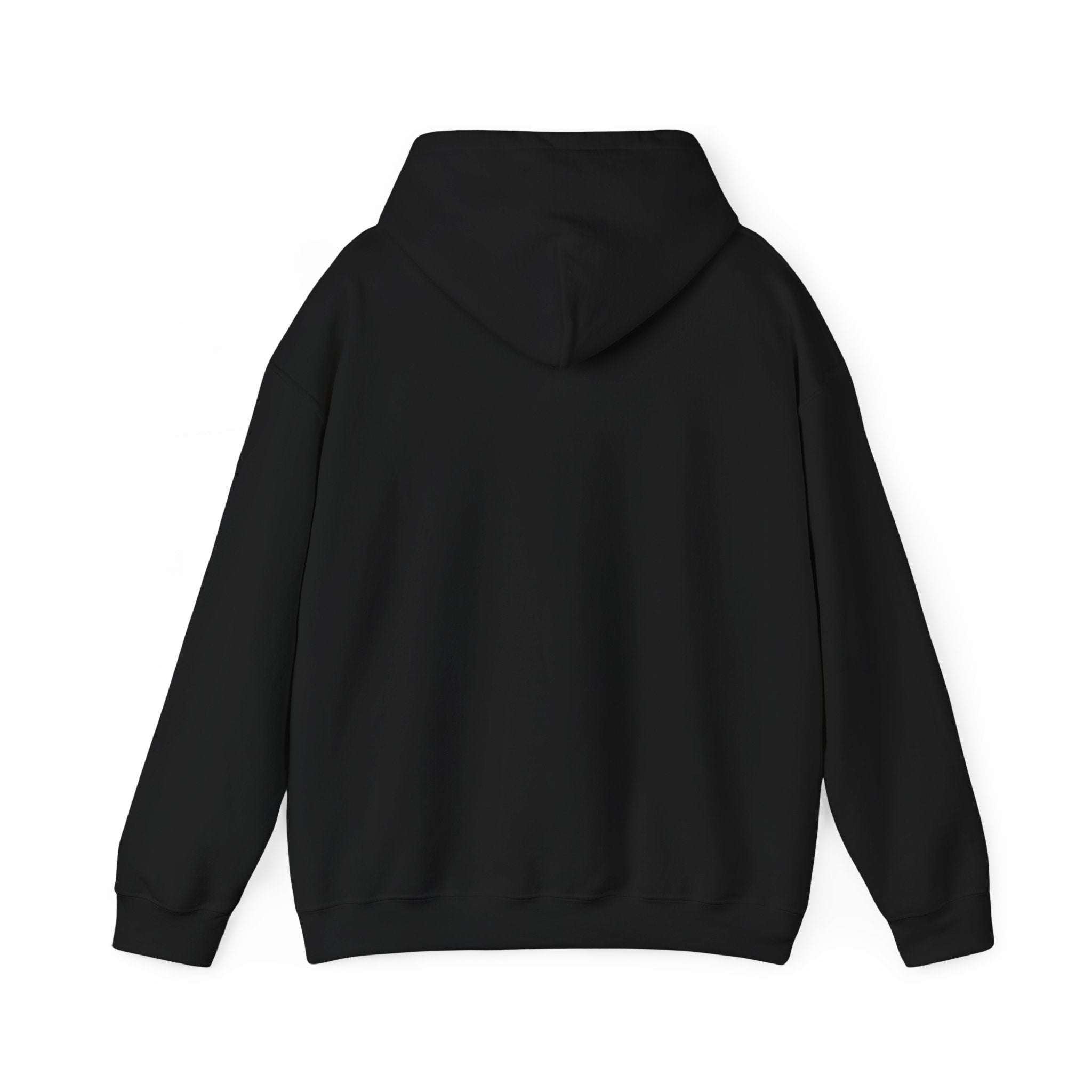 Why Not? hoodie | slogan & glitch graphic, meme phrase sweatshirt