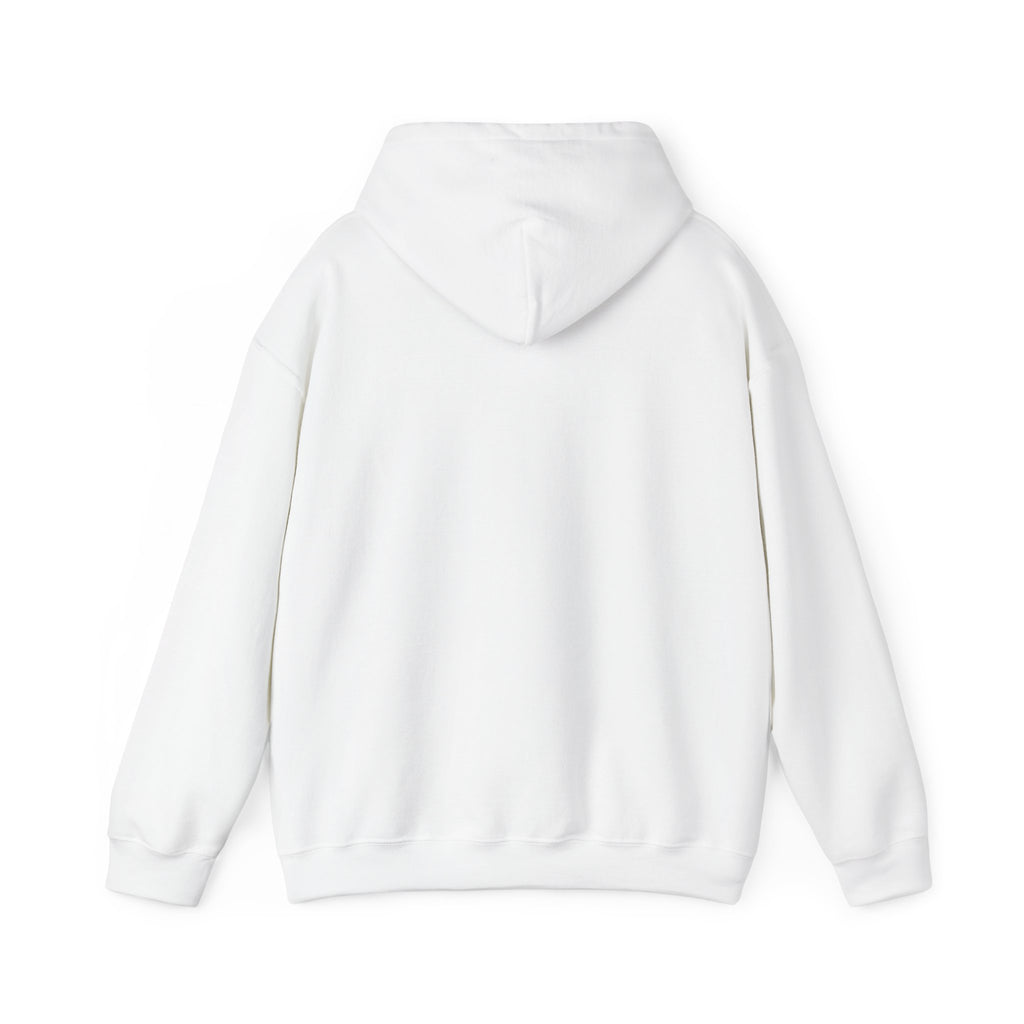 Why Not? hoodie | slogan & glitch graphic, meme phrase sweatshirt