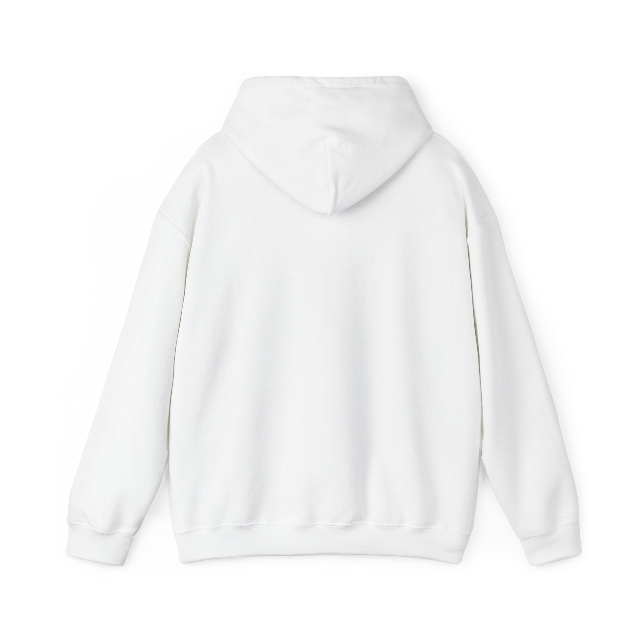 Why Not? hoodie | slogan & glitch graphic, meme phrase sweatshirt