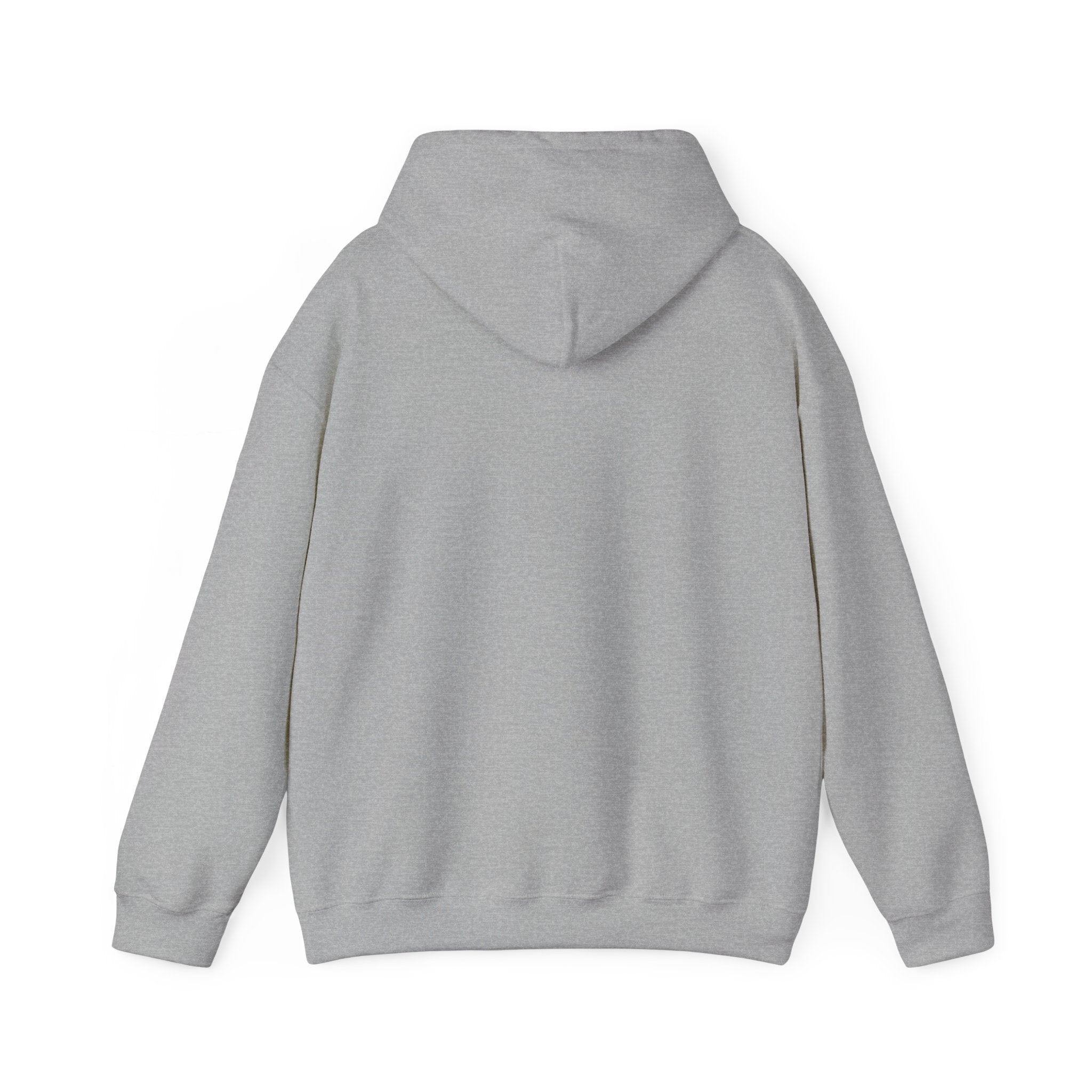 Why Not? hoodie | slogan & glitch graphic, meme phrase sweatshirt