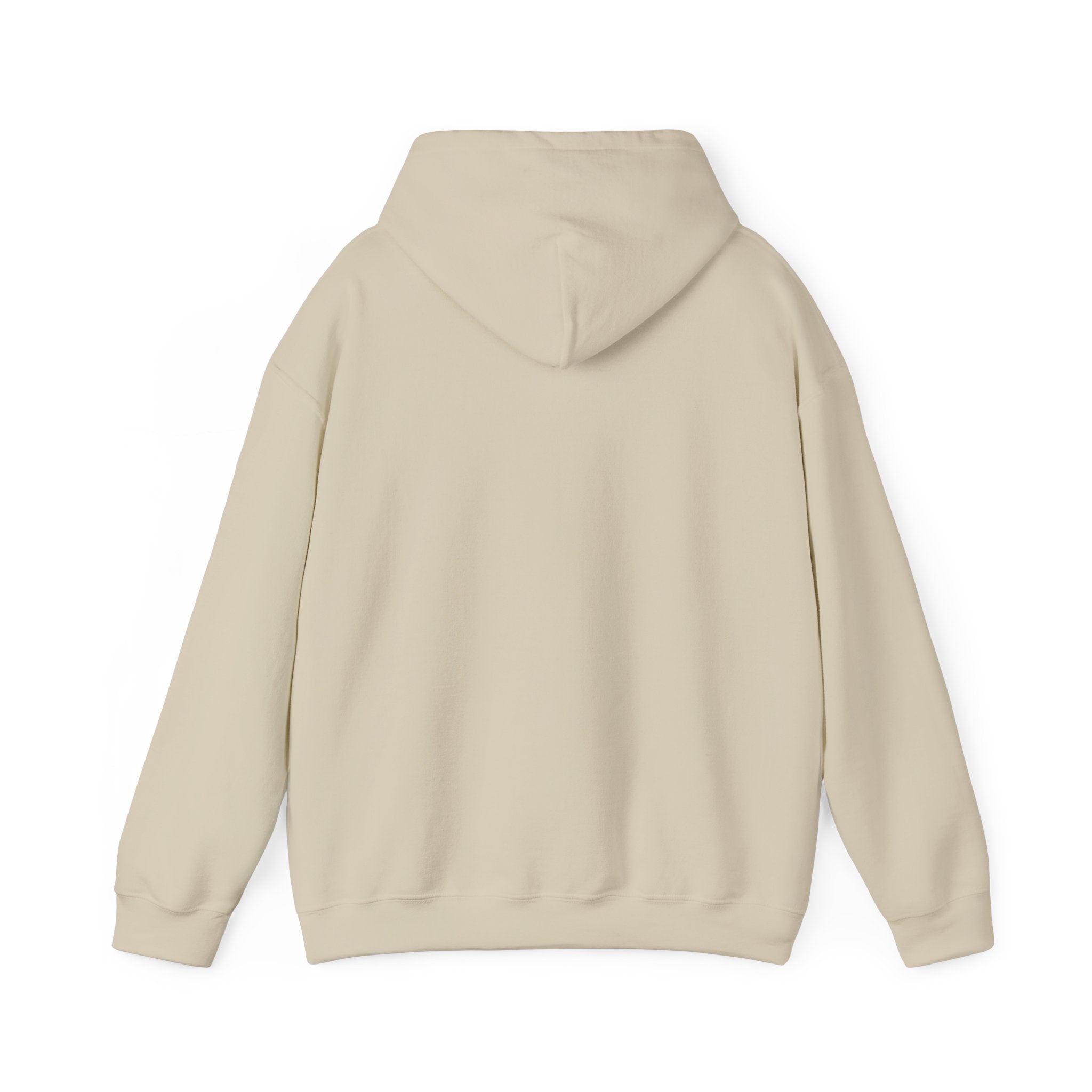 Why Not? hoodie | slogan & glitch graphic, meme phrase sweatshirt