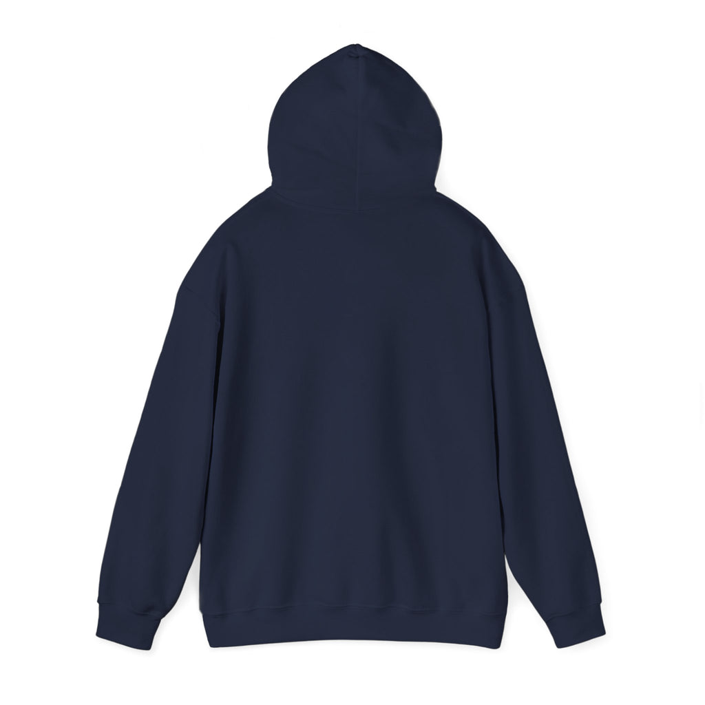Why Not? hoodie | slogan & glitch graphic, meme phrase sweatshirt