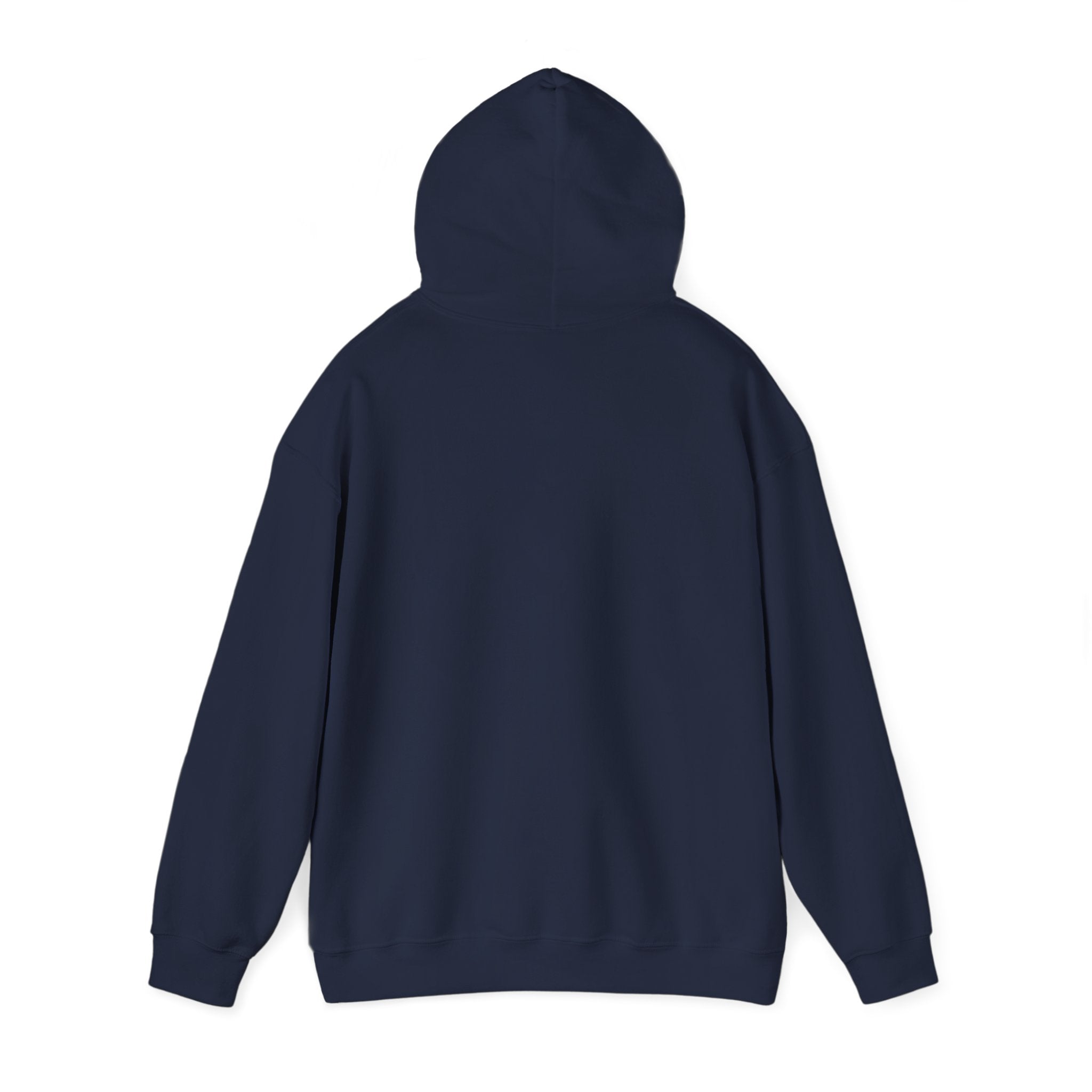 Why Not? hoodie | slogan & glitch graphic, meme phrase sweatshirt