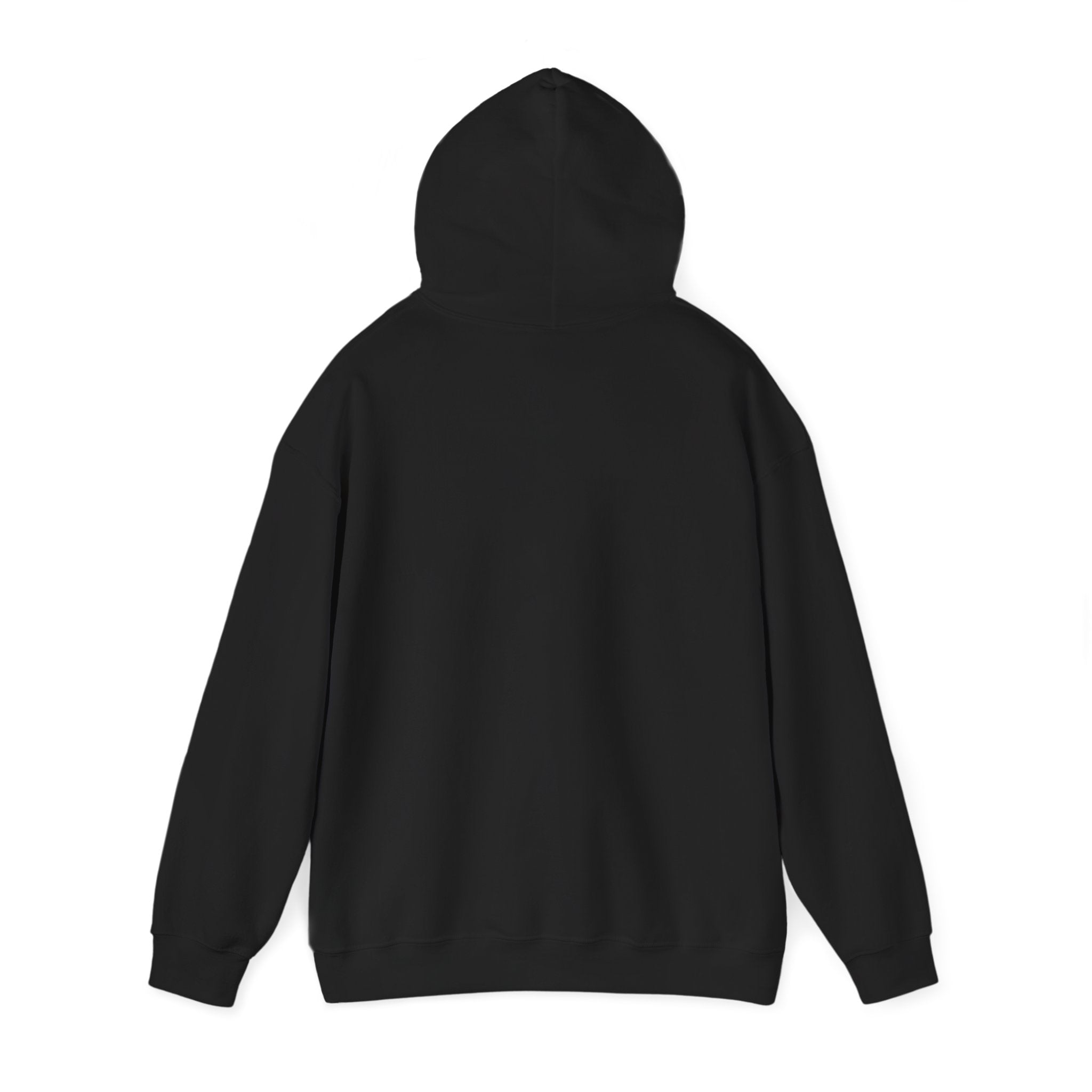 Why Not? hoodie | slogan & glitch graphic, meme phrase sweatshirt