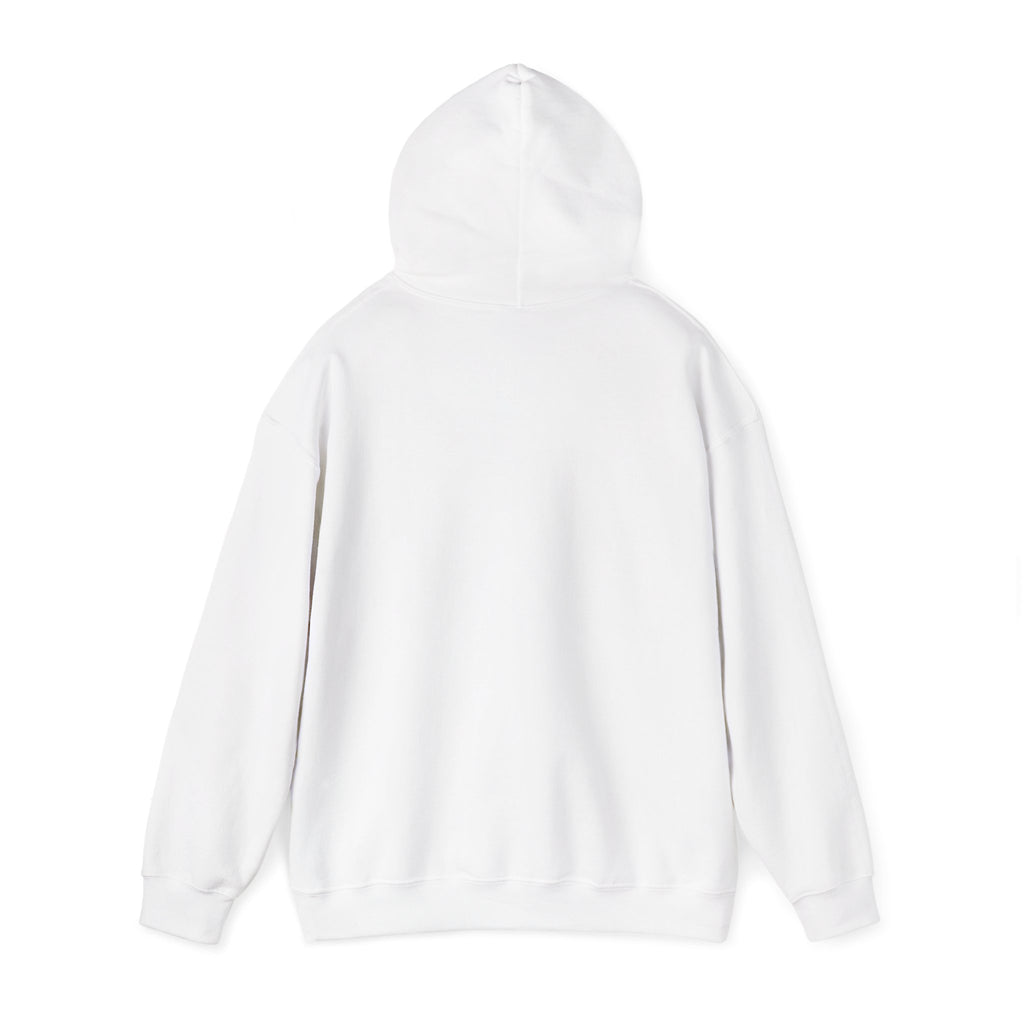 Why Not? hoodie | slogan & glitch graphic, meme phrase sweatshirt