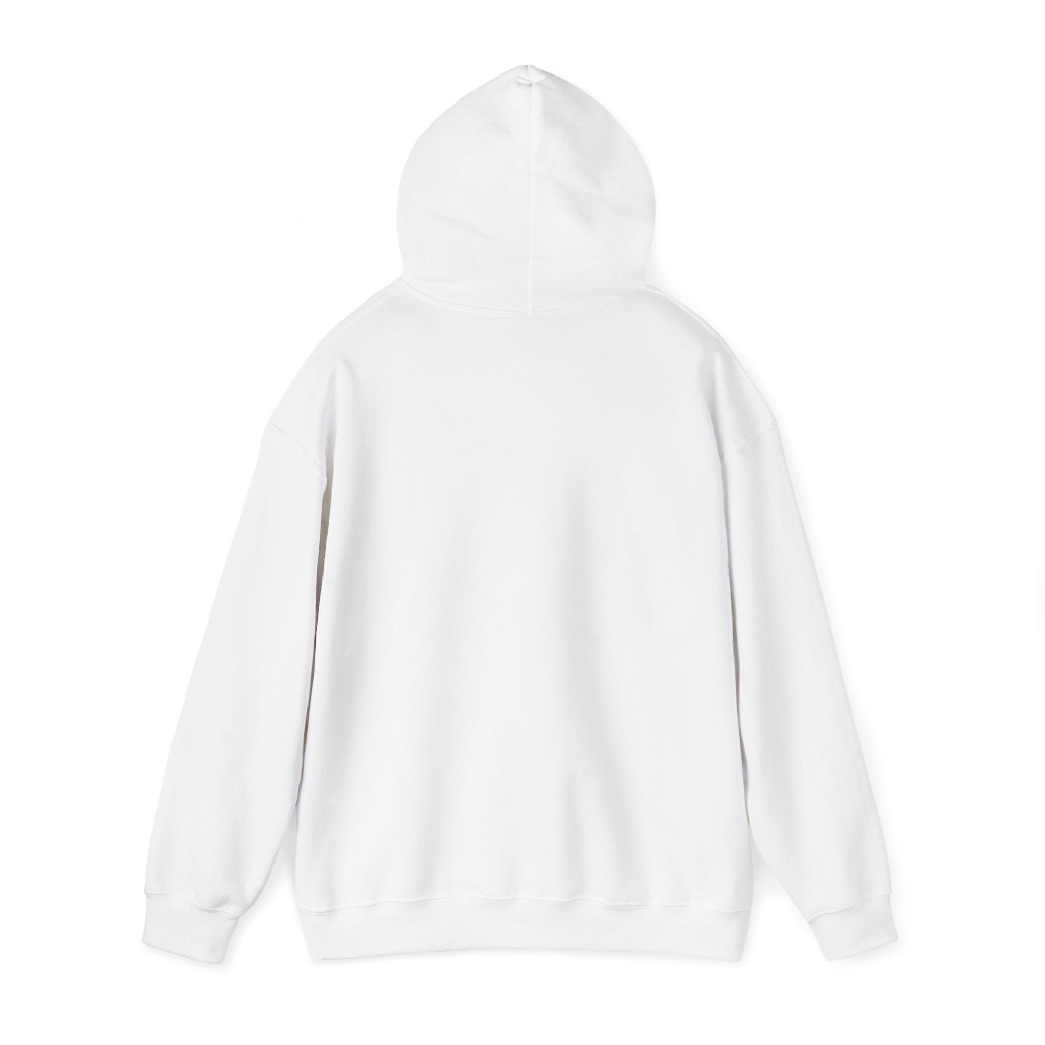 Why Not? hoodie | slogan & glitch graphic, meme phrase sweatshirt
