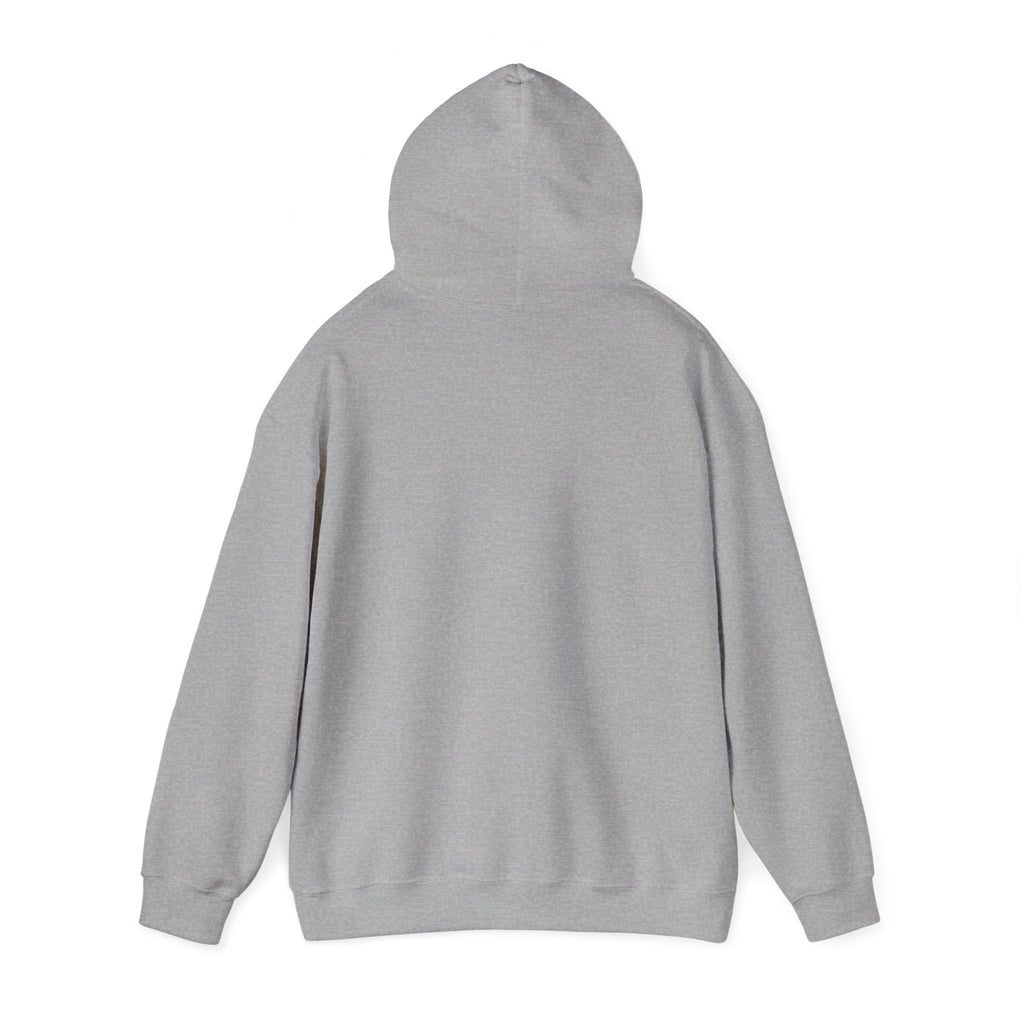 Why Not? hoodie | slogan & glitch graphic, meme phrase sweatshirt