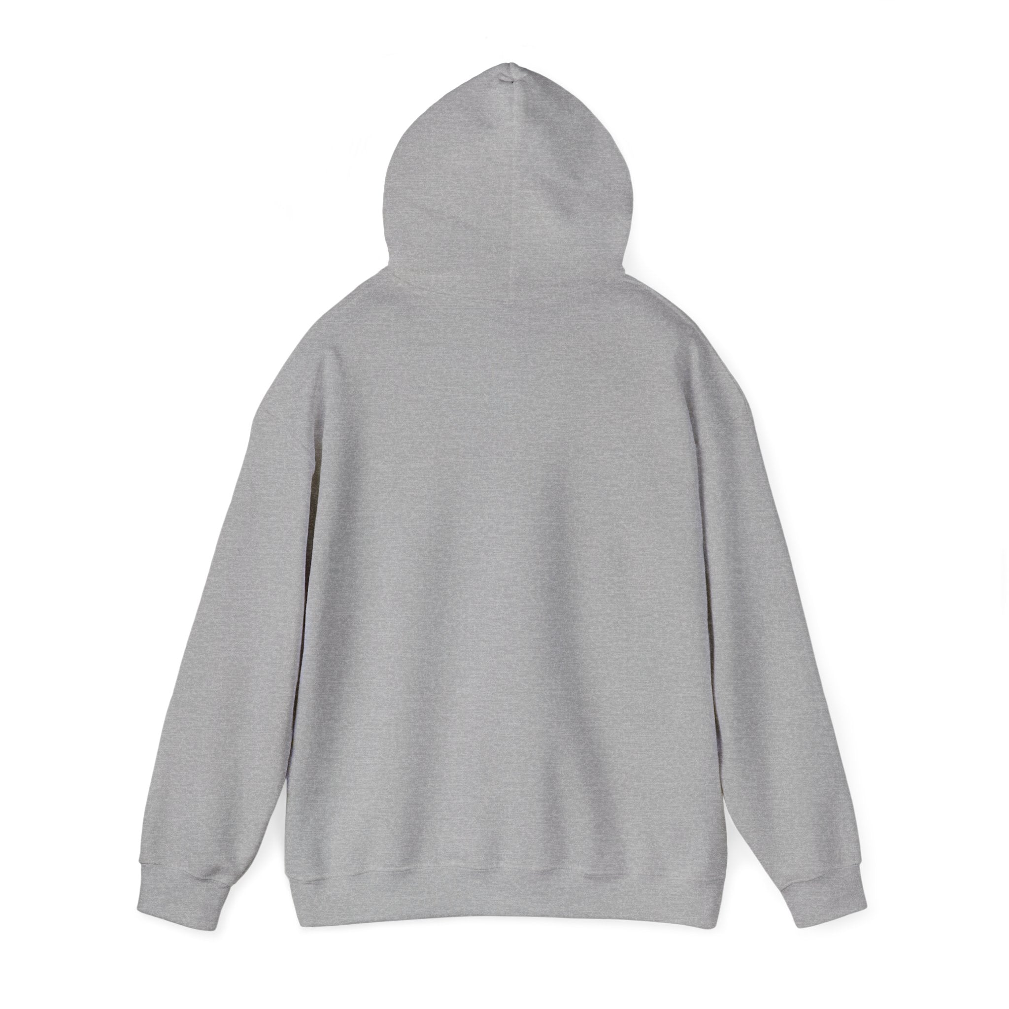 Why Not? hoodie | slogan & glitch graphic, meme phrase sweatshirt
