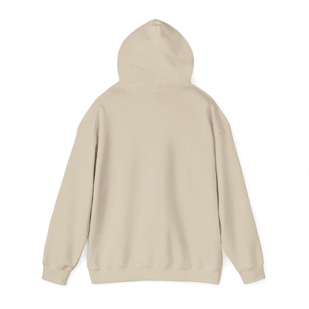 Why Not? hoodie | slogan & glitch graphic, meme phrase sweatshirt