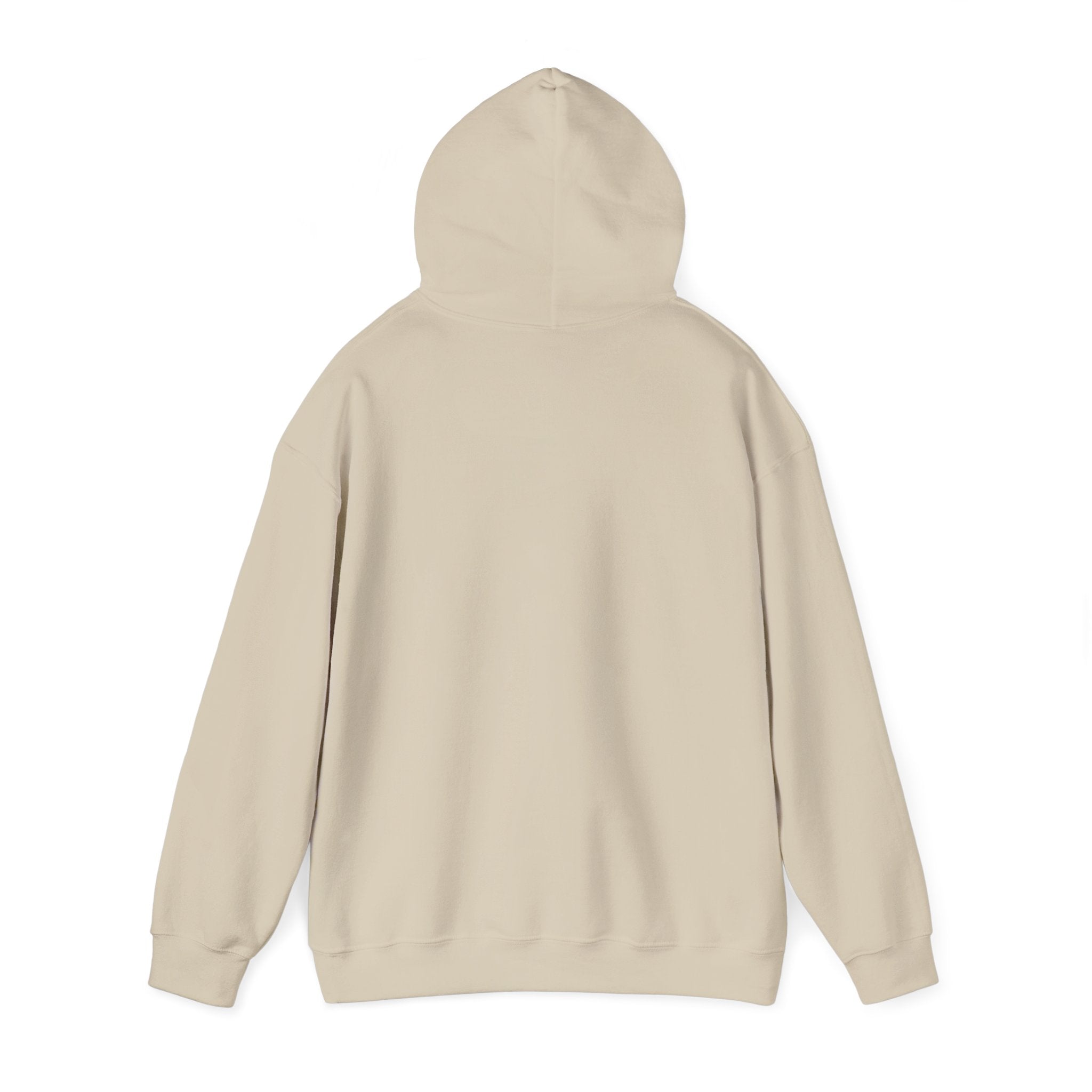 Why Not? hoodie | slogan & glitch graphic, meme phrase sweatshirt